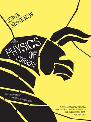 The Physics of Sorrow - ebook